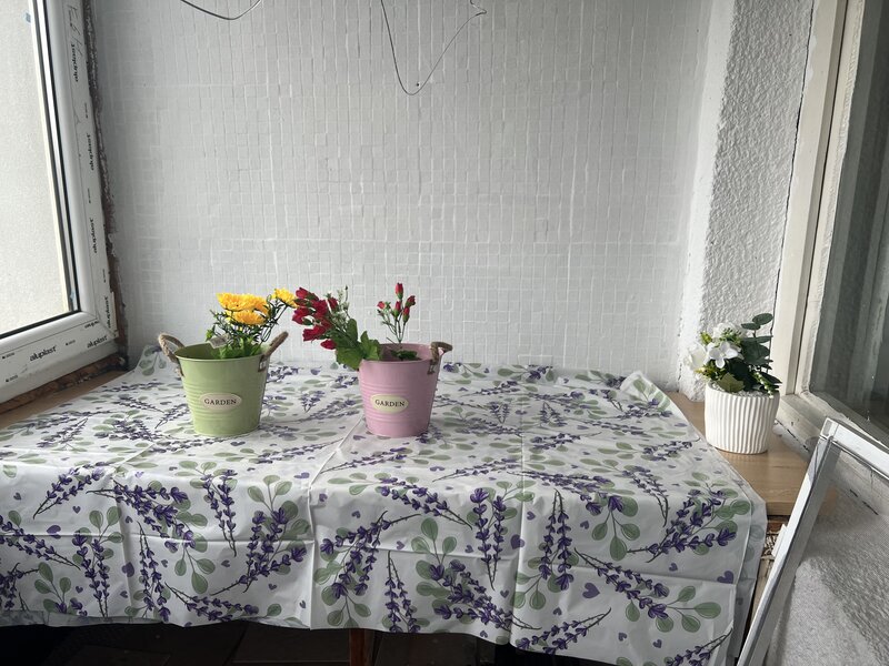 Arena Nationala, pet friendly, renovata