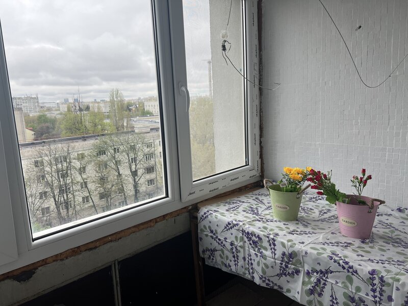 Arena Nationala, pet friendly, renovata