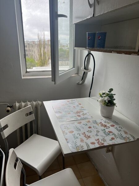 Arena Nationala, pet friendly, renovata