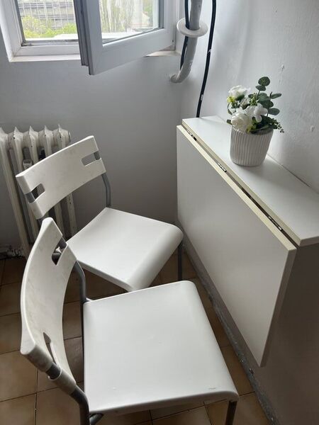 Arena Nationala, pet friendly, renovata