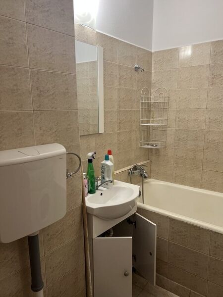 Arena Nationala, pet friendly, renovata