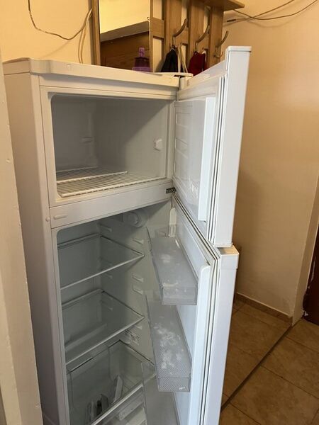 Arena Nationala, pet friendly, renovata