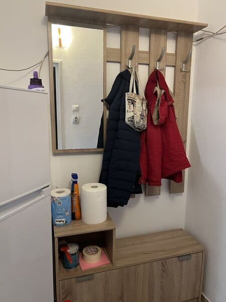 Arena Nationala, pet friendly, renovata