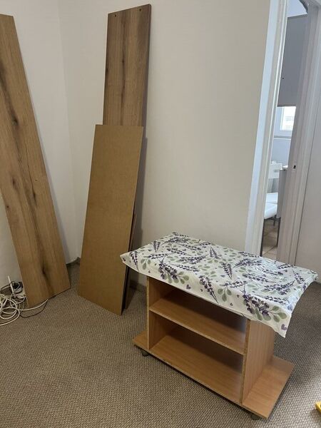 Arena Nationala, pet friendly, renovata